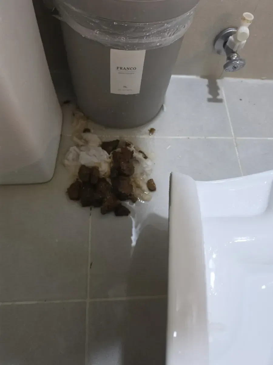 변기 탈거 후 나온 휴지와 오물 뭉치