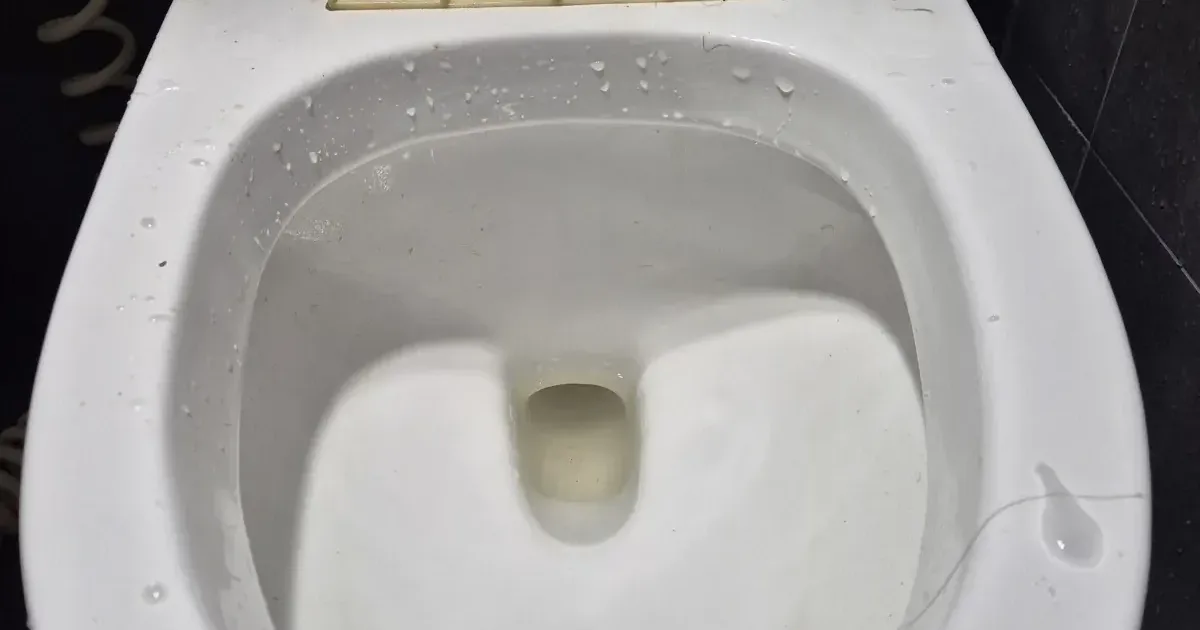 산곡동변기막힘, 물티슈나 물건을 빠뜨렸다면 물부터 멈추세요 사진 1